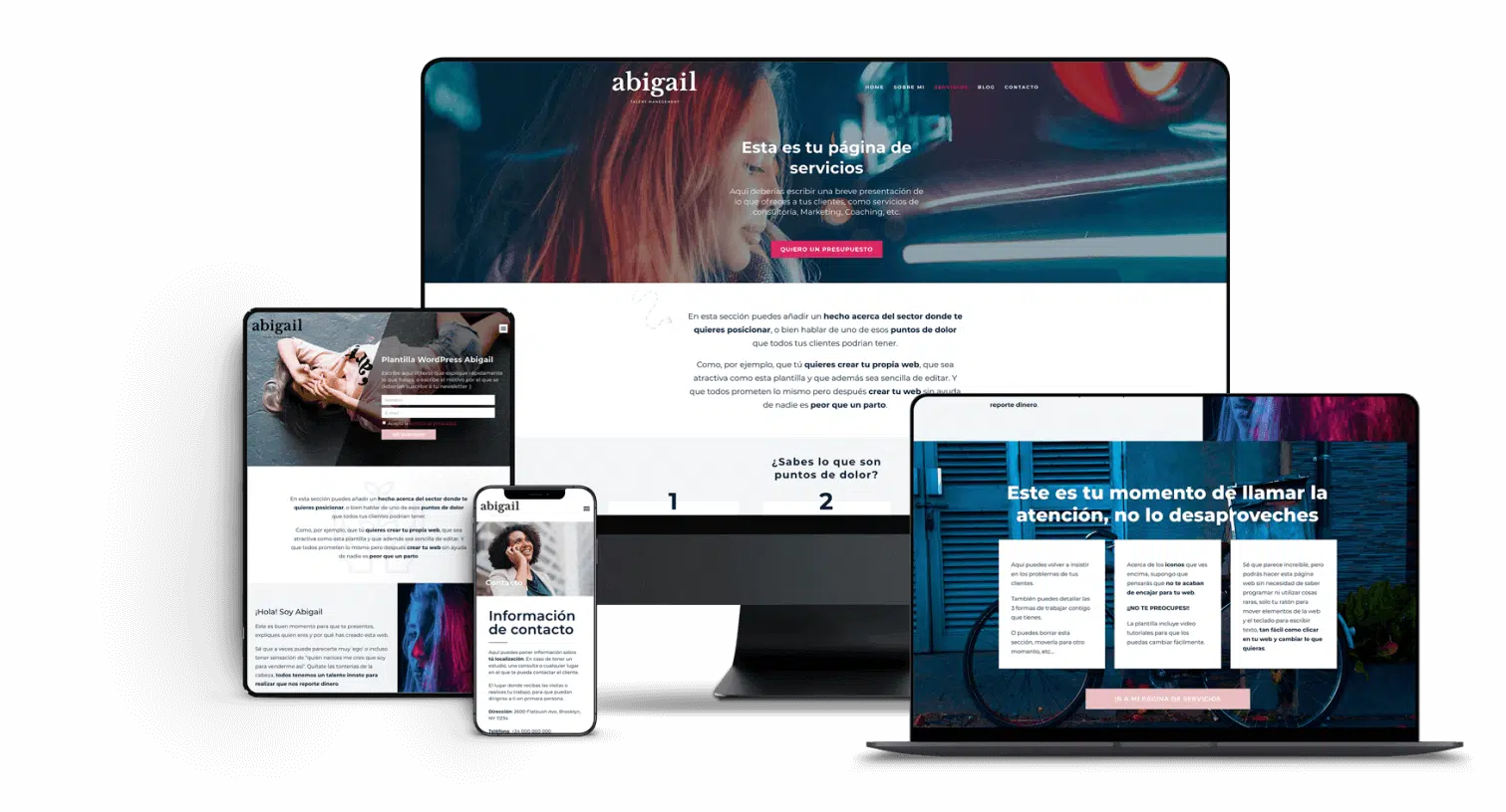 Promoción desarrollo web