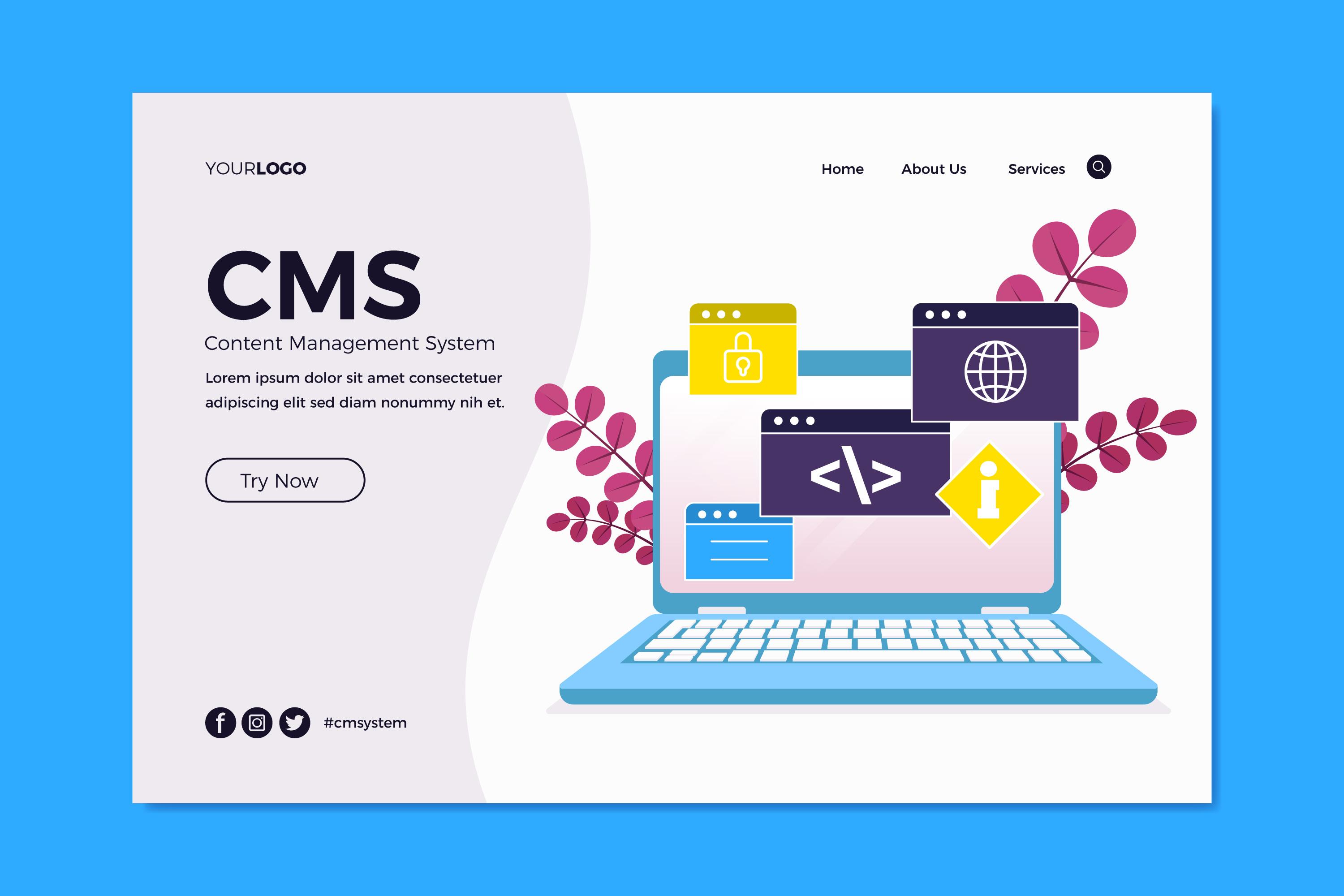 Web Development Promotion